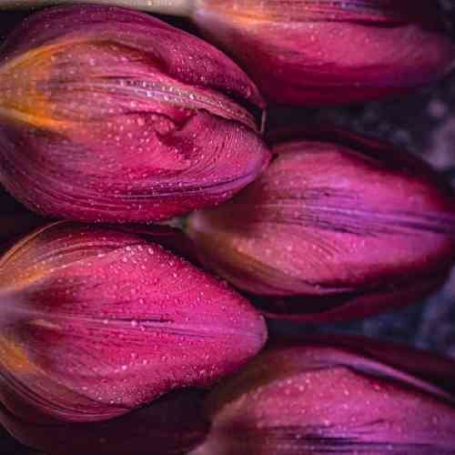 وحید علوی ما یار نداریم غم یار نداریم